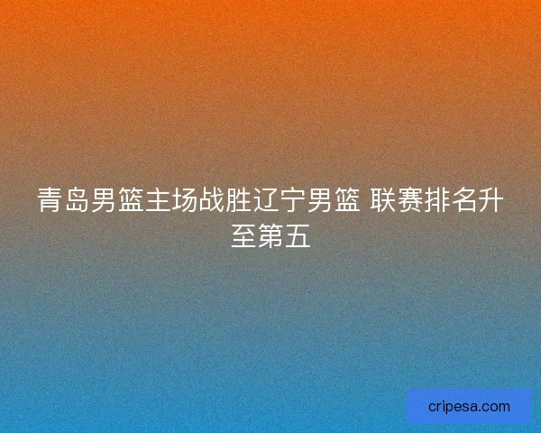 青岛男篮主场战胜辽宁男篮 联赛排名升至第五 青岛男篮主场战胜辽宁男篮 联赛排名升至第五