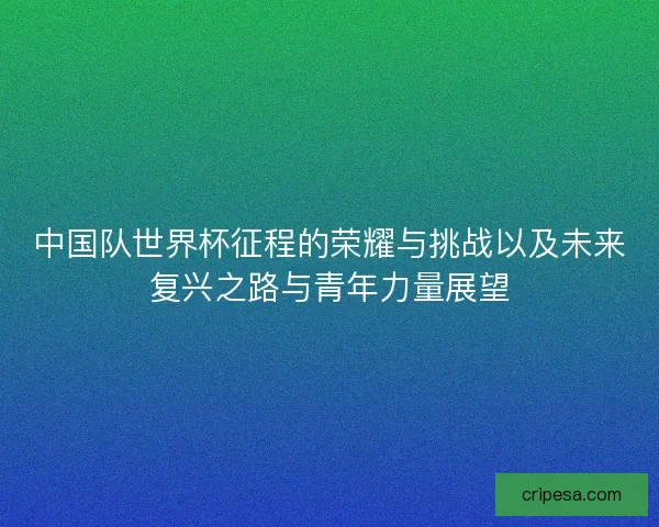 中国队世界杯征程的荣耀与挑战以及未来复兴之路与青年力量展望 中国队世界杯征程的荣耀与挑战以及未来复兴之路与青年力量展望