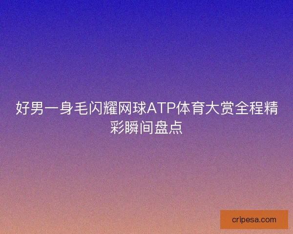 好男一身毛闪耀网球ATP体育大赏全程精彩瞬间盘点
